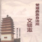 楚雄彝族自治州文物志 2008版 PDF电子版