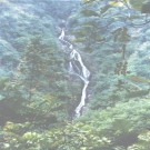 广西陆川县志 1993版.pdf下载