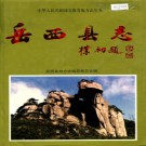 安徽省岳西县志 1996版.pdf下载