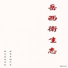 岳西卫生志 2003版.pdf下载