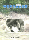 怀化千年自然灾害             2000年版            PDF电子版下载