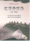 沙河崖村志                2010年版               PDF电子版下载