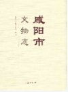 咸阳市文物志                 2008年版              PDF电子版下载