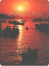 洞头县教育志_1998版_PDF电子版下载