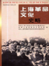 上海革命文化史略                    1998年版                      PDF电子版下载