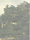 广西 贵港市志.pdf下载