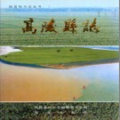 陕西省高陵县志 2000版.pdf下载