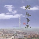 福建省长乐市志 2001版.pdf下载