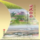宁夏回族自治区 灵武市志1991-2005 2010版.pdf下载